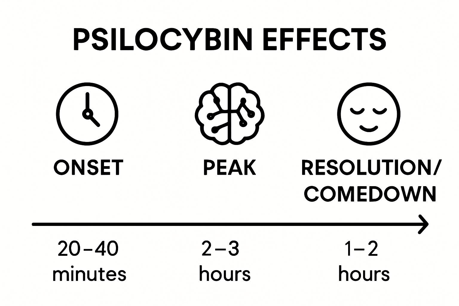 Psilocybin effects timeline showing onset, peak, and comedown phases