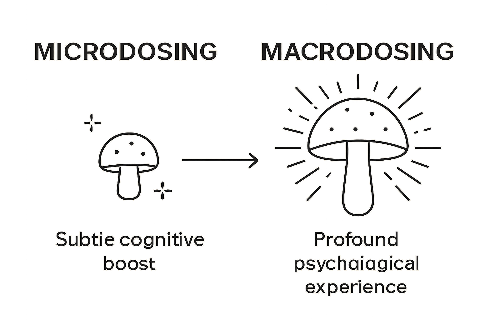 Infographic comparing microdosing and macrodosing magic mushrooms