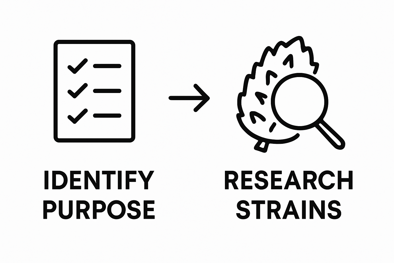 Infographic showing steps: identify purpose and research CBD strains