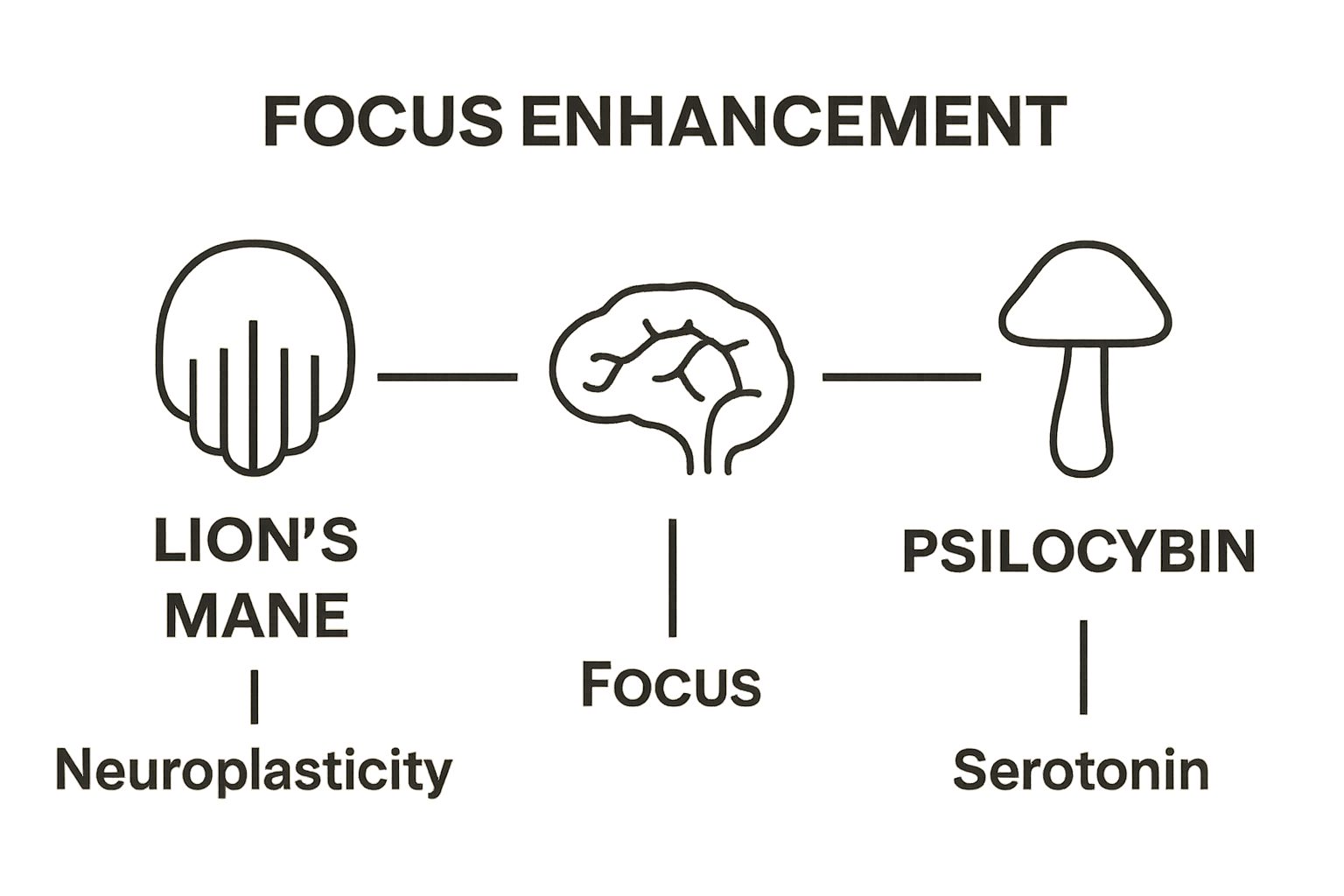 Simple infographic comparing Lion's Mane and Psilocybin mushrooms for focus enhancement