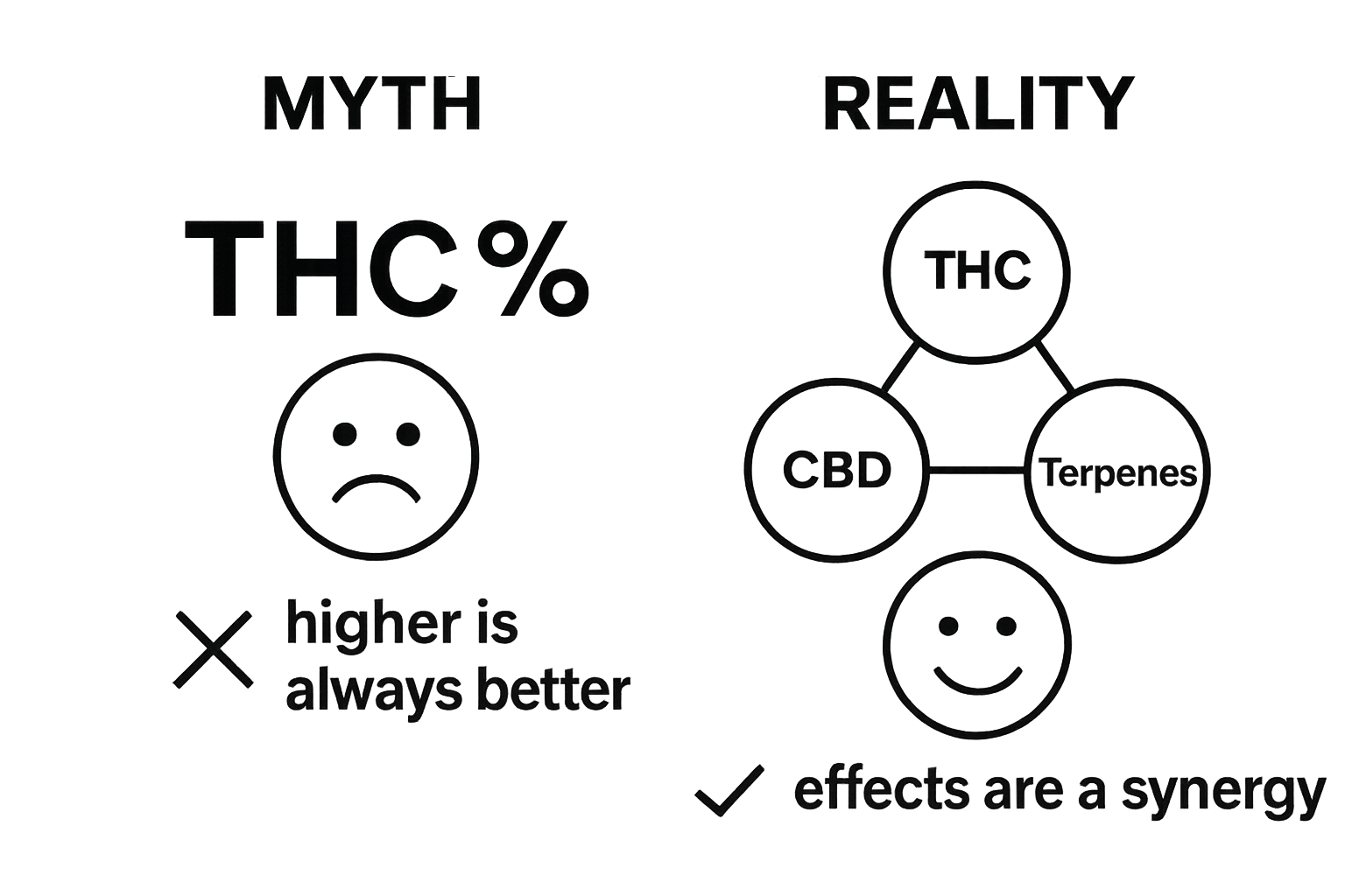 Infographic comparing cannabis potency myth vs reality