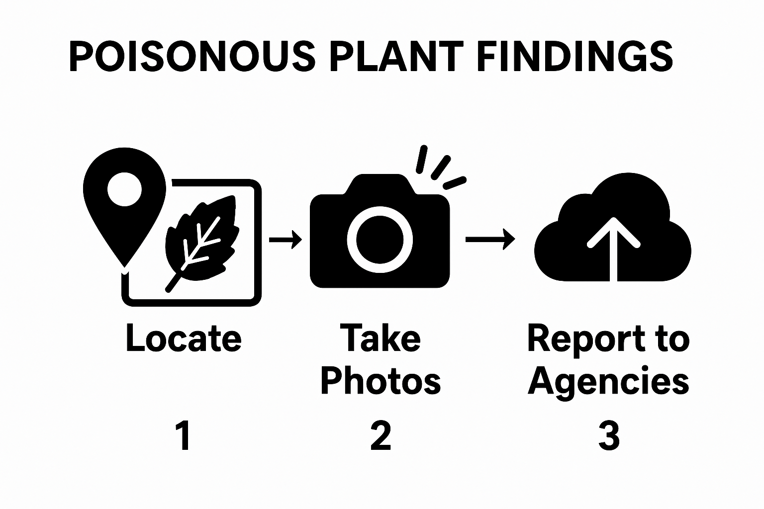Infographic with documenting poisonous plant steps: GPS, photographic evidence, and digital reporting.