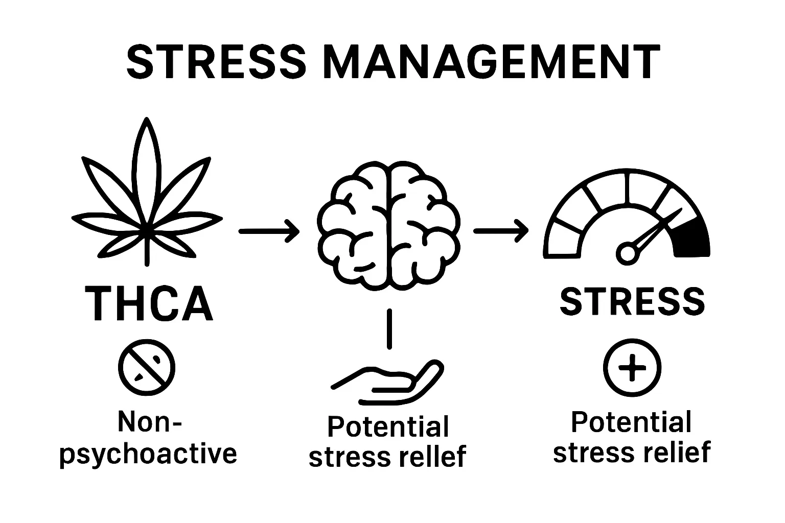 Infographic comparing THCA and CBD for stress relief