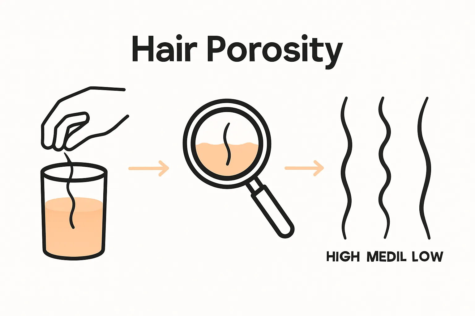 Visual steps for testing curly hair porosity using a strand and water glass