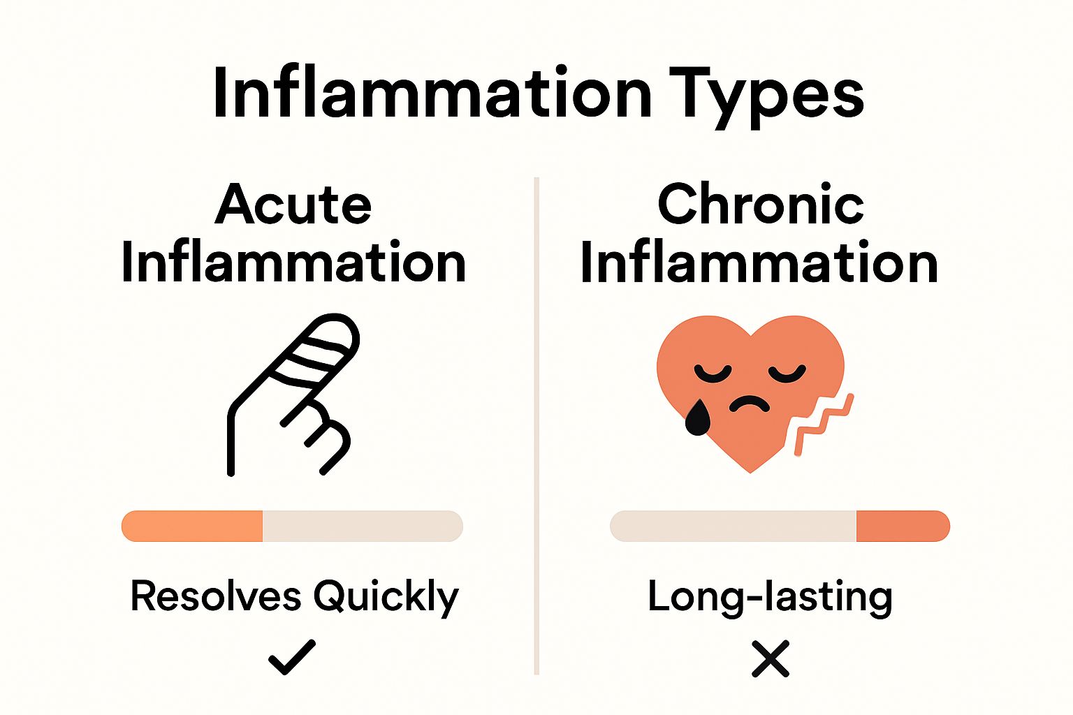 Infographic comparing acute inflammation with chronic inflammation