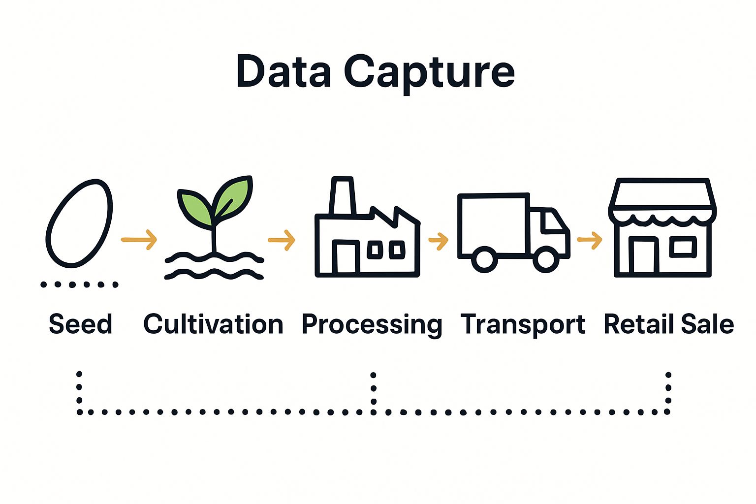 Cannabis product journey from seed to sale in five simple stages