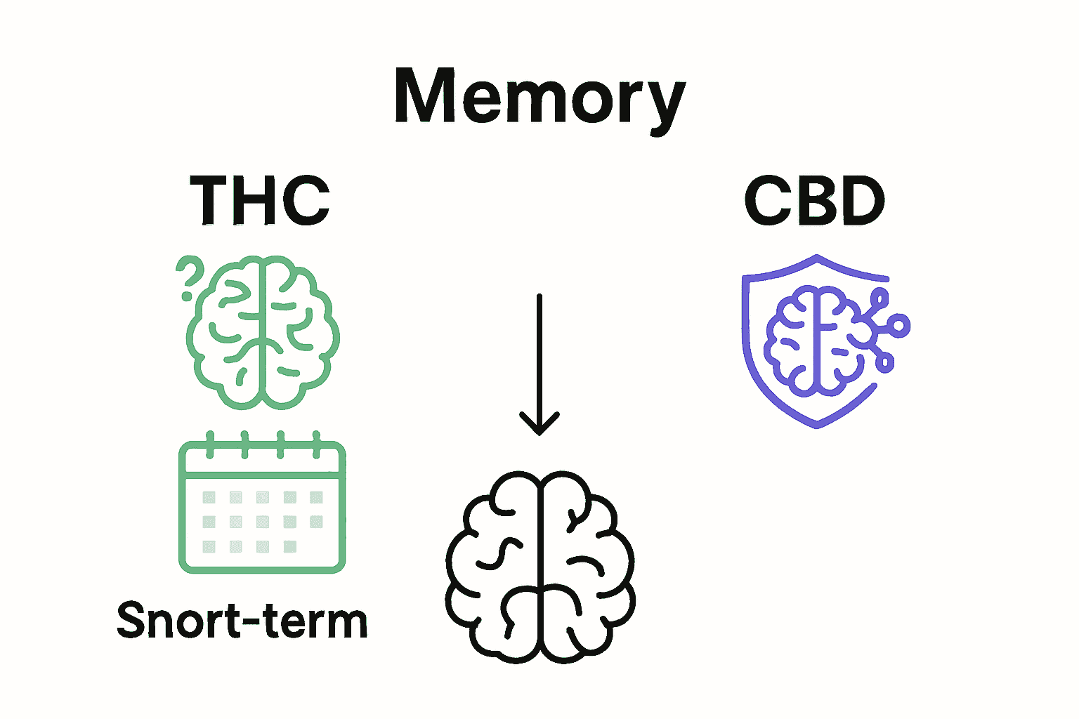 Infographic comparing THC and CBD effects on memory