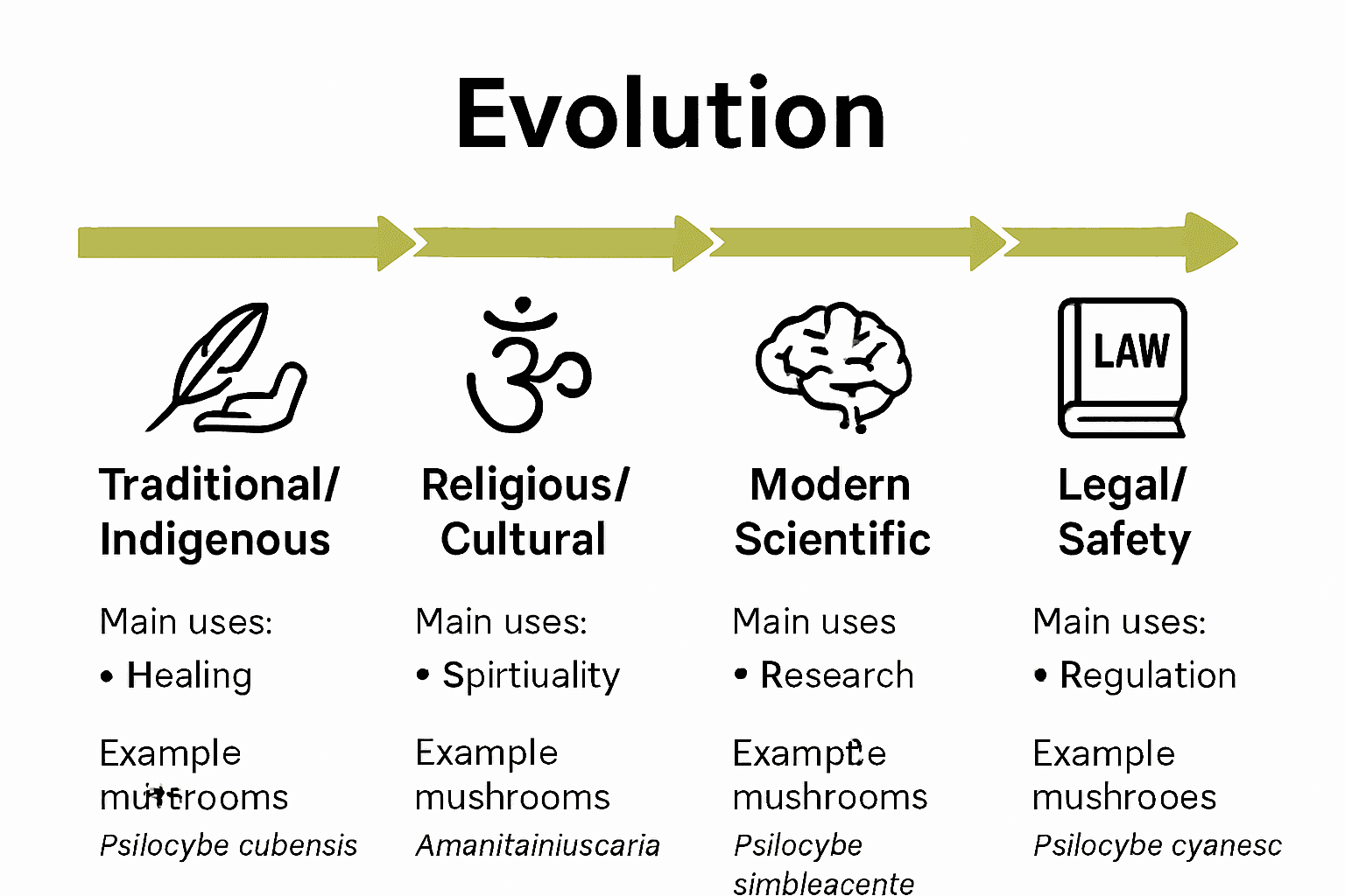 Comparative chart of mushroom uses: traditional, religious, scientific, legal.