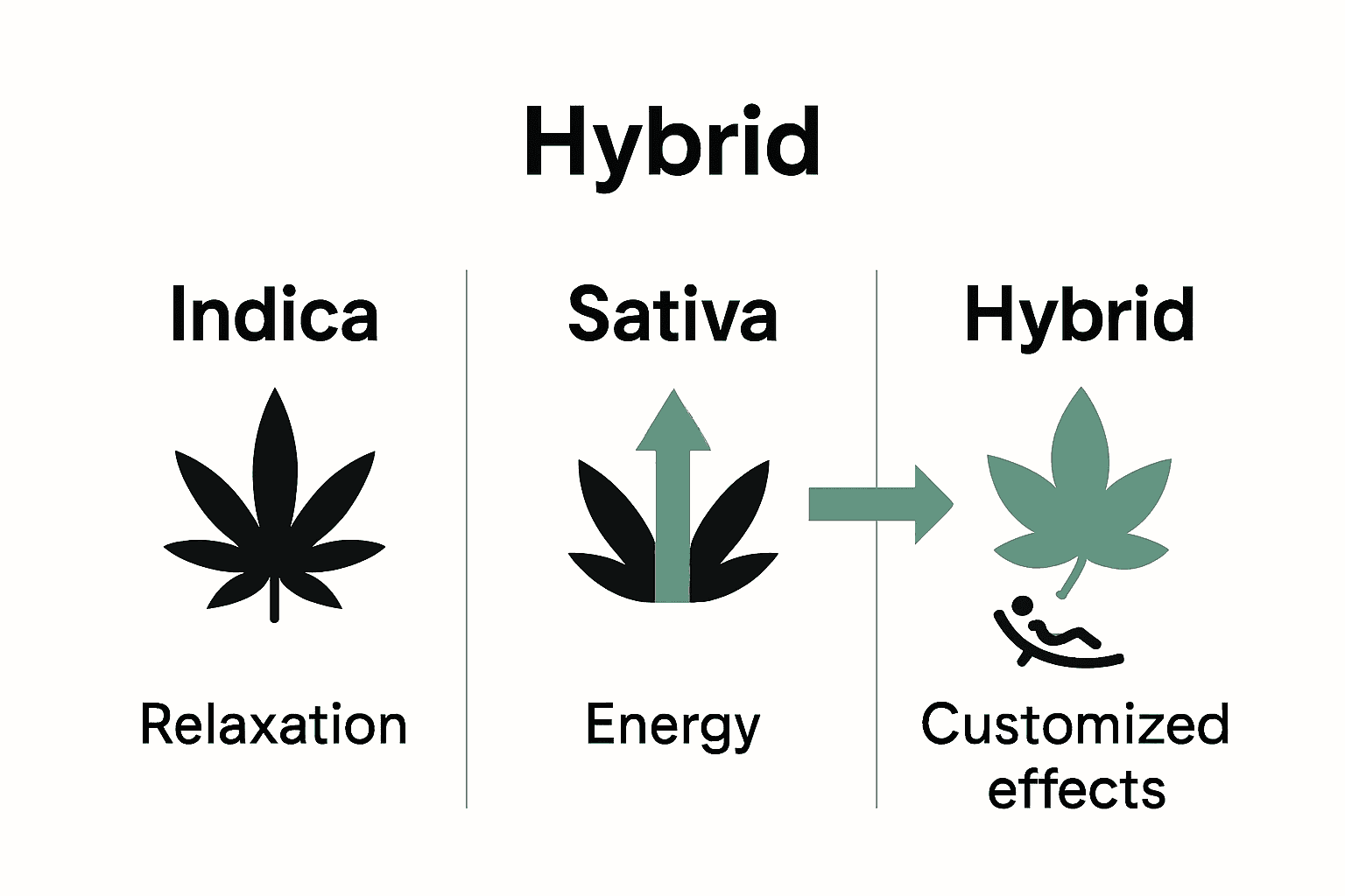 Infographic comparing indica, sativa, and hybrid cannabis strains.