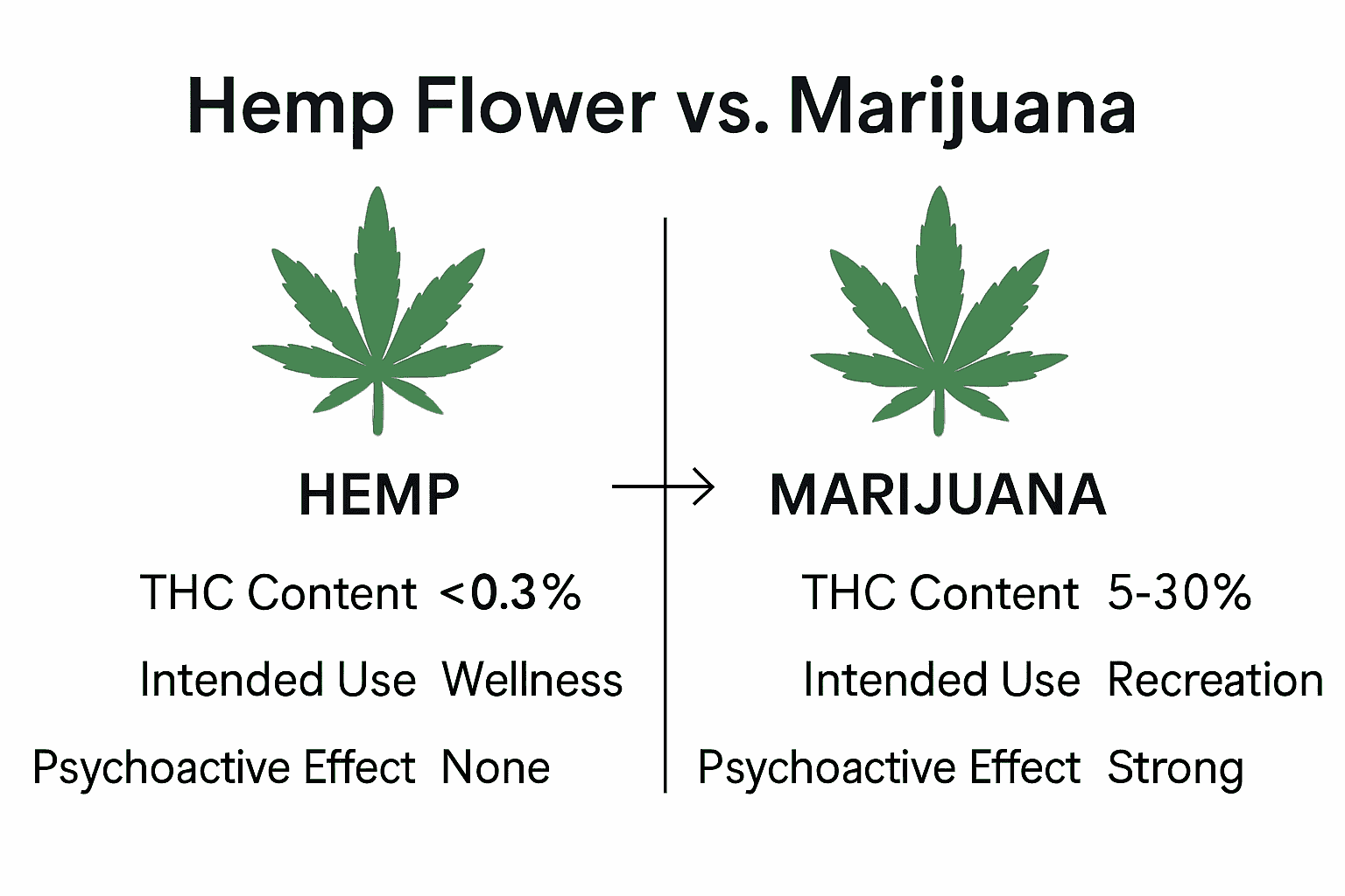 Infographic comparing hemp flower and marijuana key differences.