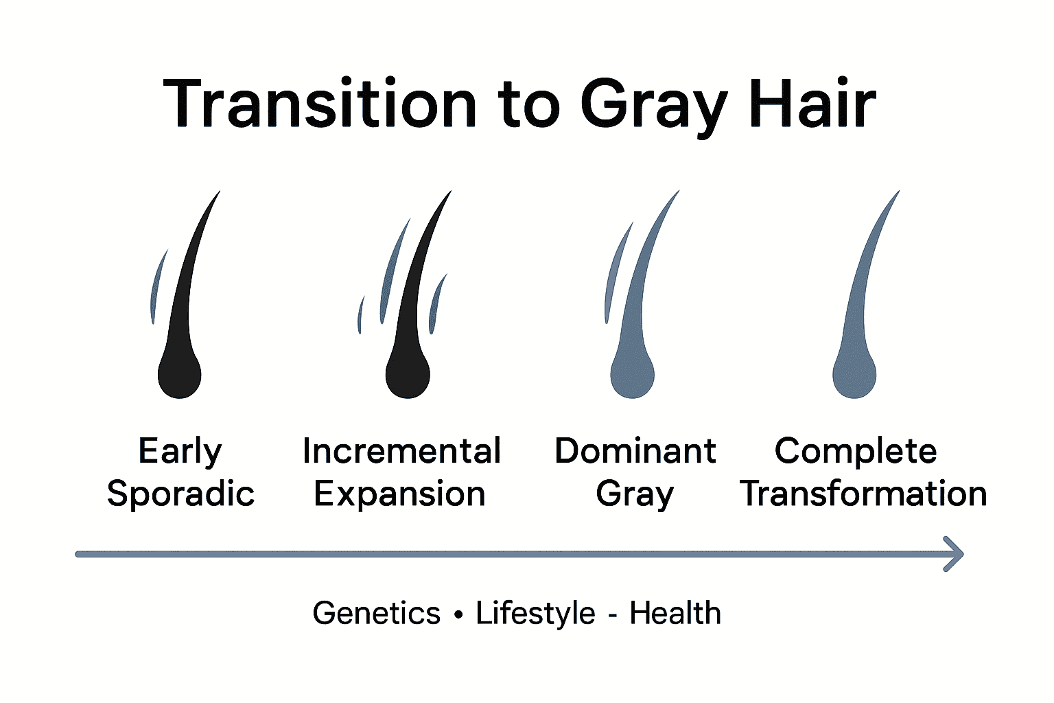 Gray hair transition stages infographic with icons.