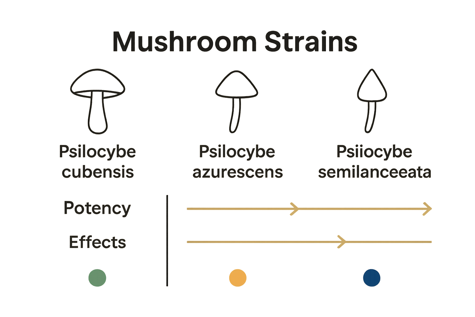 Infographic showing mushroom strain comparisons by potency and experience level.