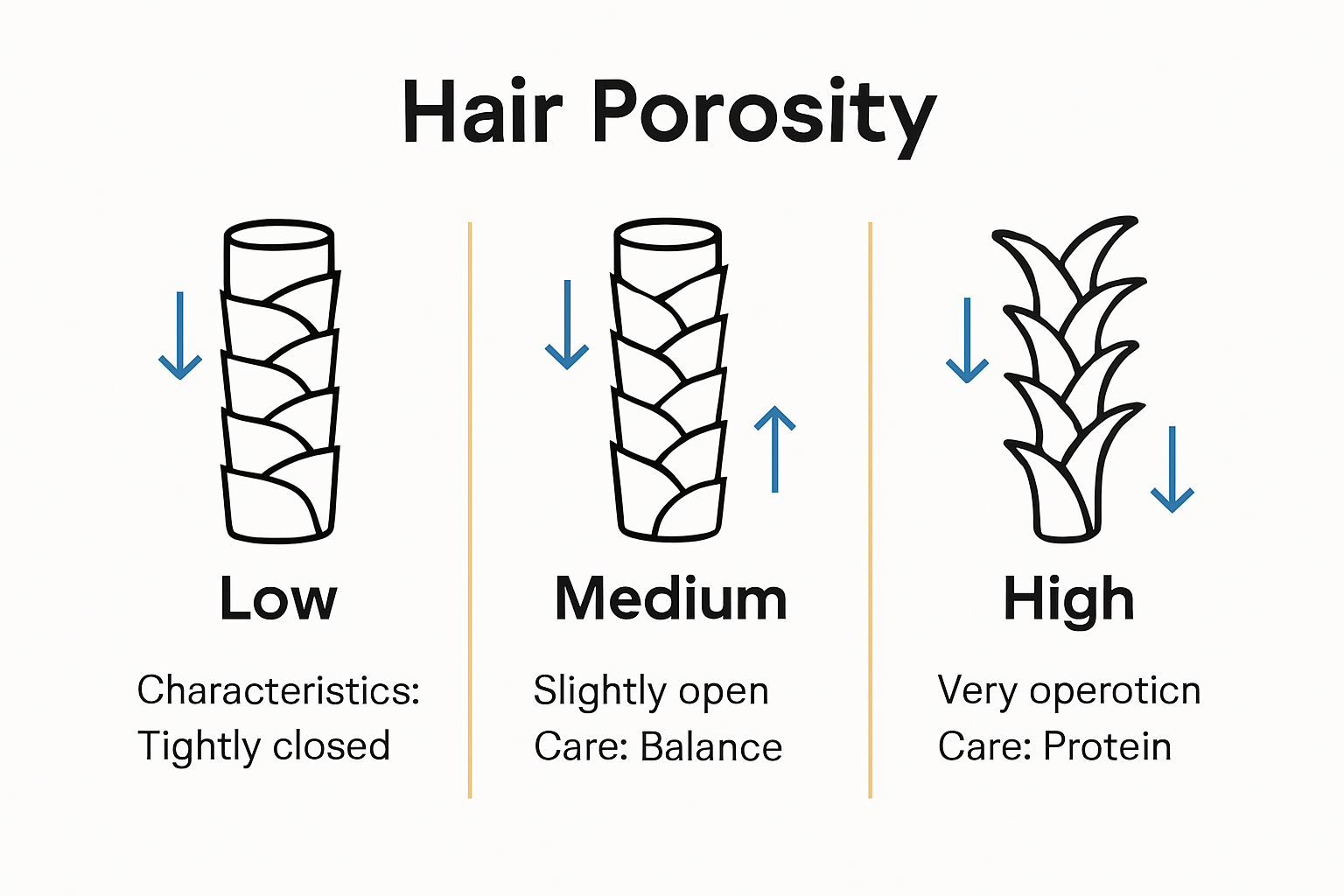 Infographic comparing low, medium, and high hair porosity characteristics and care recommendations.