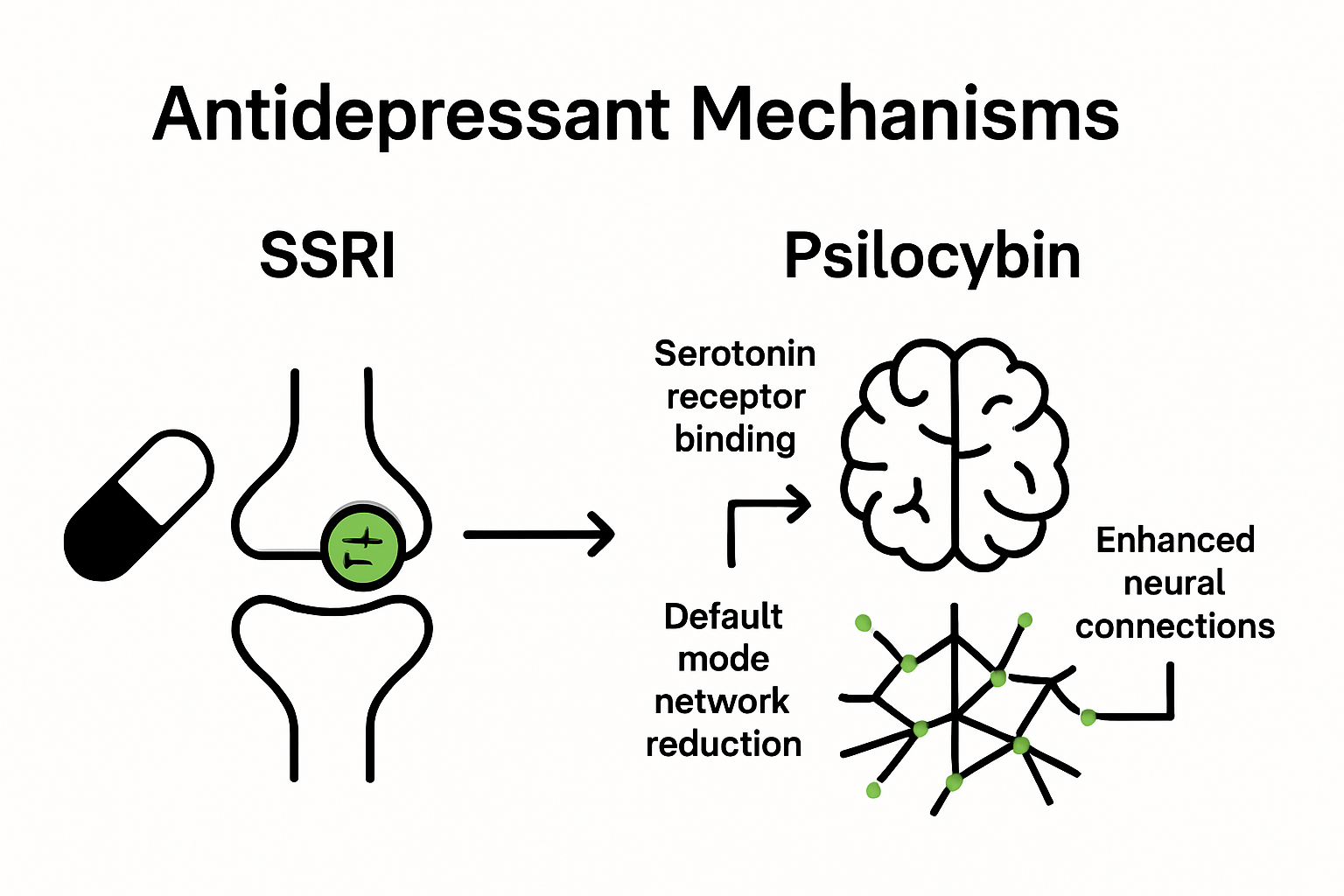Infographic comparing psilocybin effects to traditional antidepressants using icons and arrows.