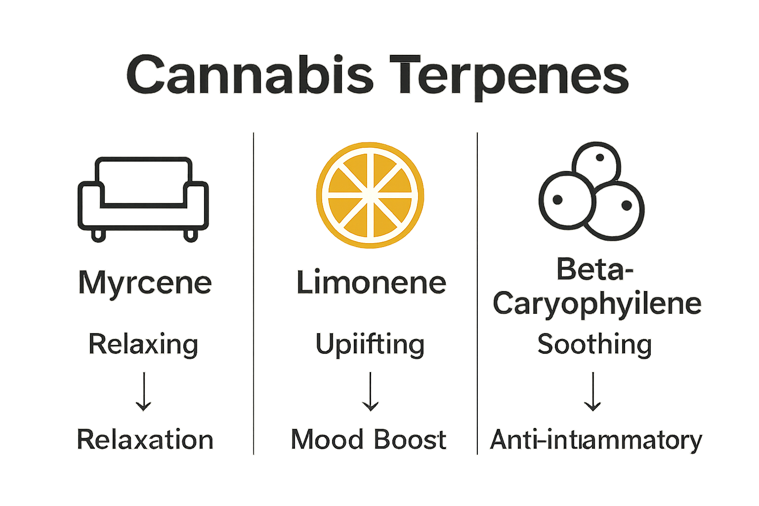 Chart of major cannabis terpenes and effects