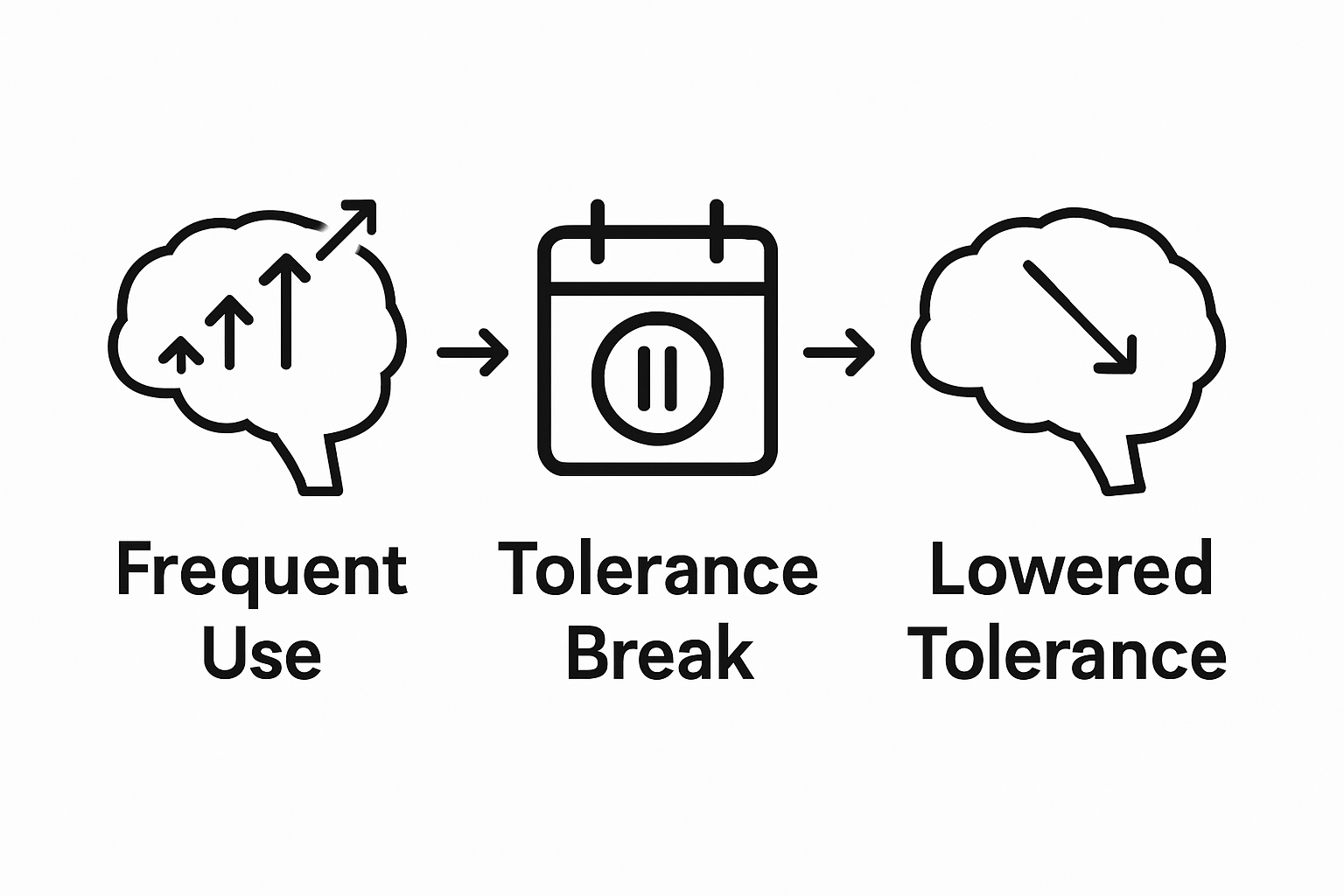 Cannabis tolerance process infographic