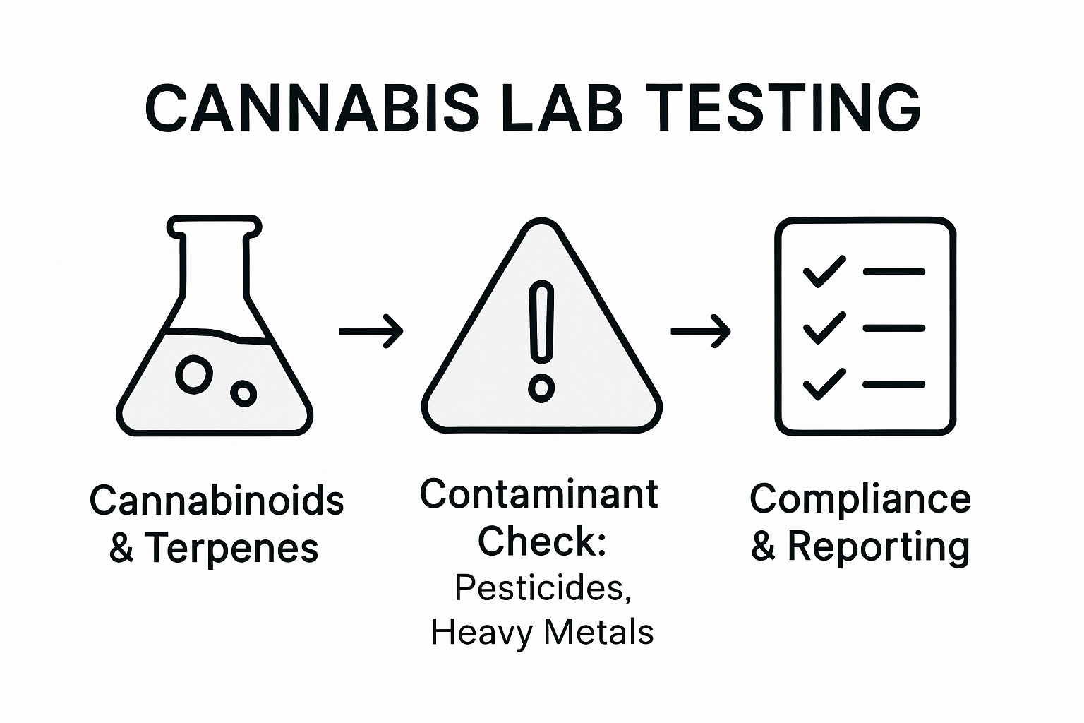 Infographic outlining cannabis lab testing steps