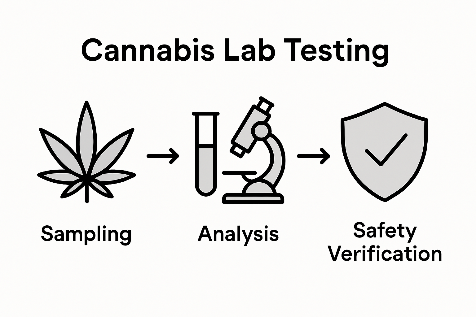 Infographic showing cannabis testing process