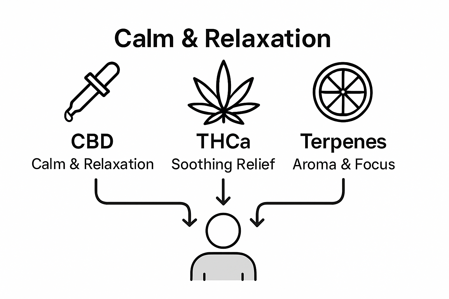 Comparison infographic: CBD, THCa, terpenes benefits