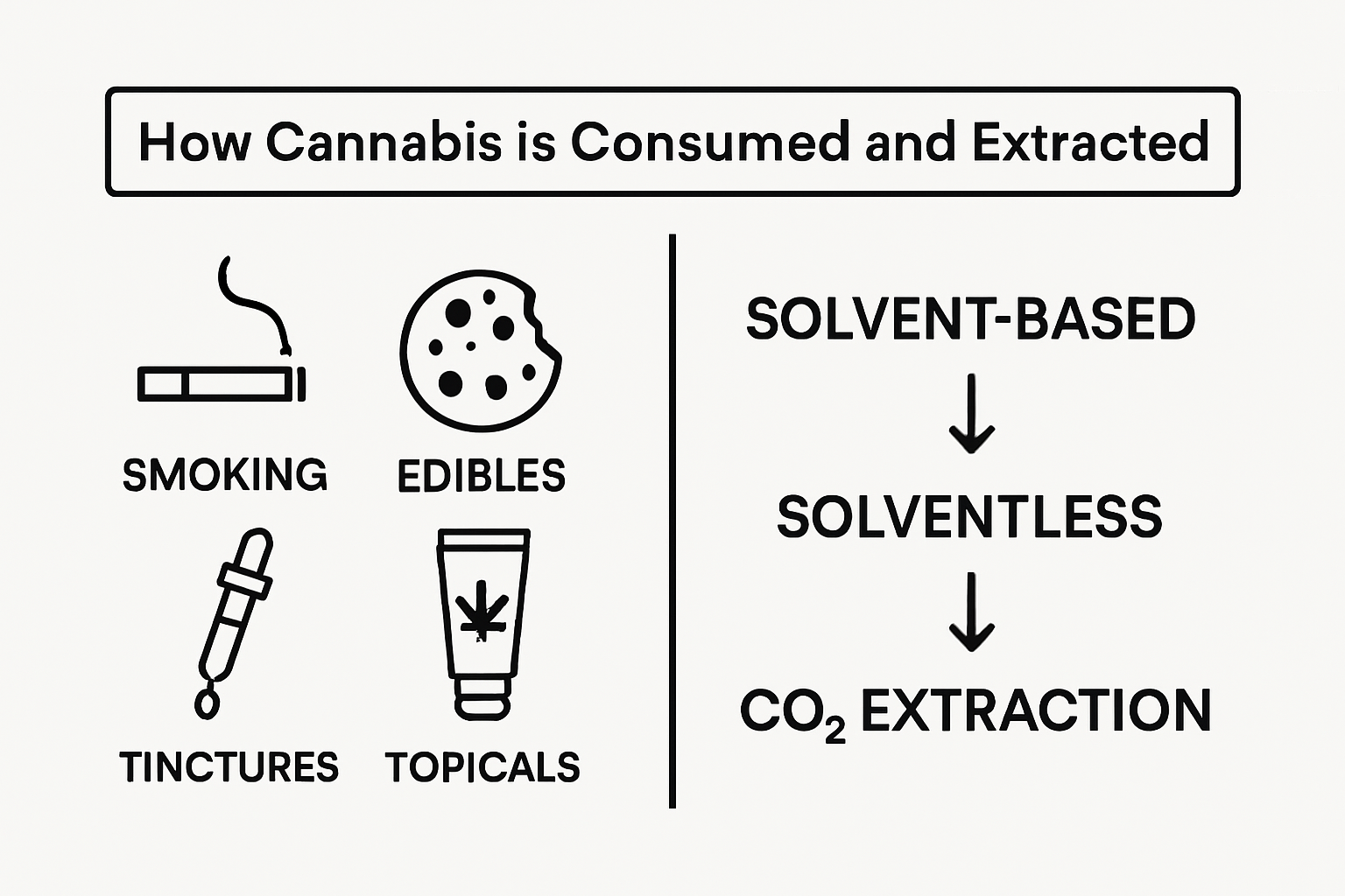Infographic showing cannabis consumption and extraction methods