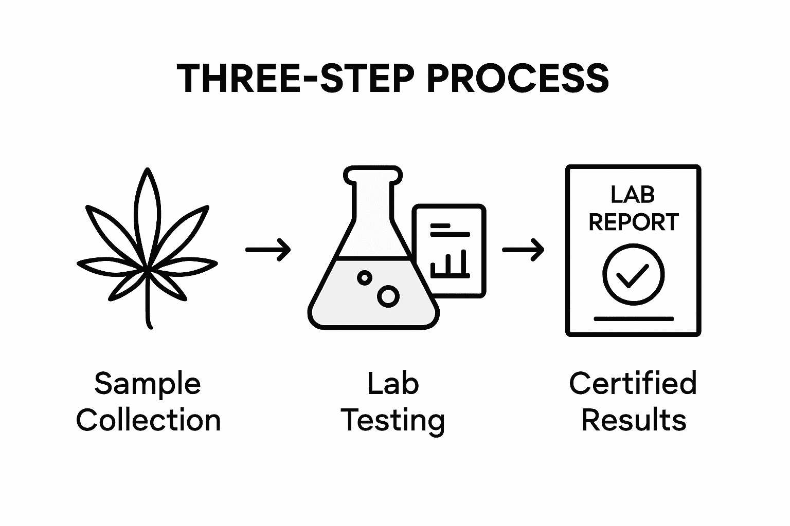 Infographic shows hemp lab testing steps