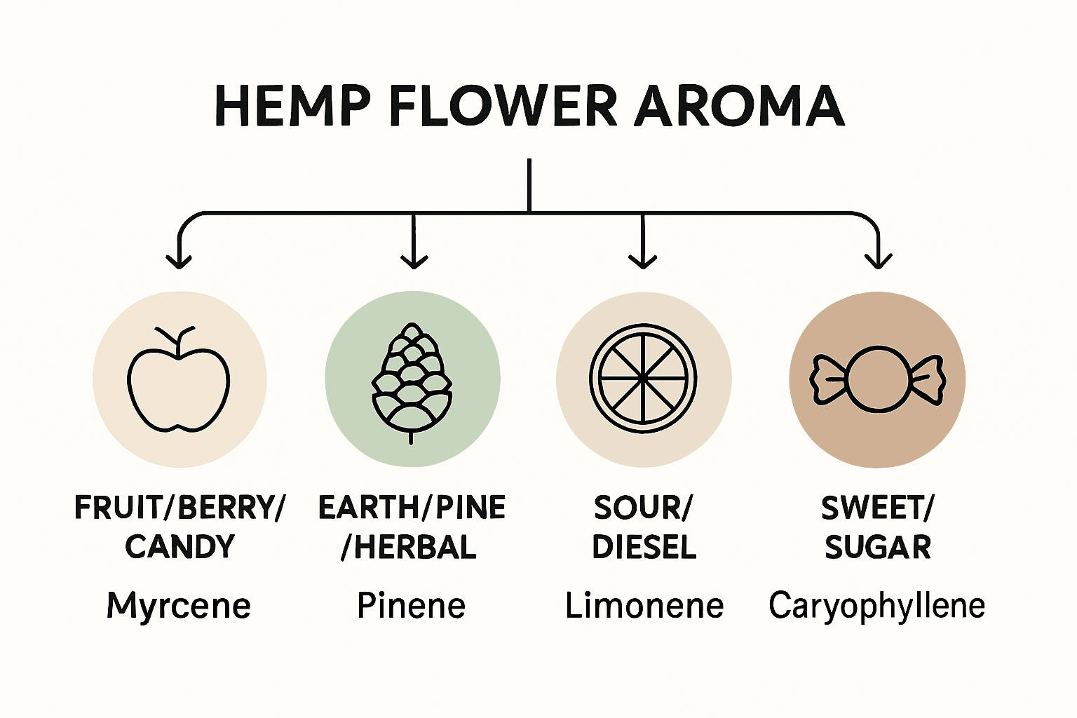 Hemp aroma categories and terpenes chart