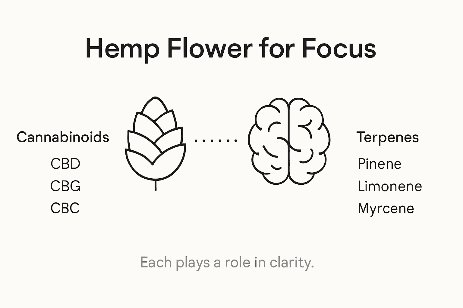 Infographic of hemp compounds for focus