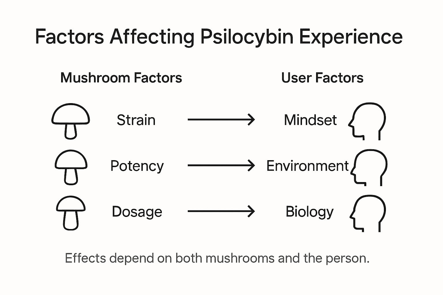 Infographic on psilocybin experience factors