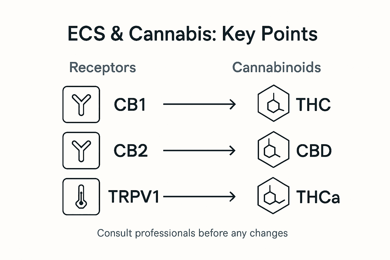 Infographic of ECS receptors and cannabinoids