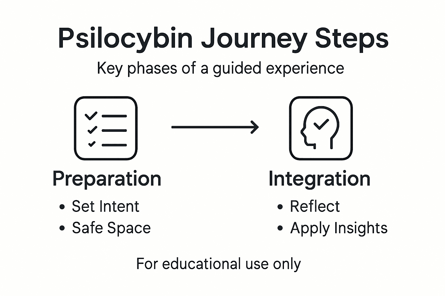 Infographic of main psilocybin journey steps