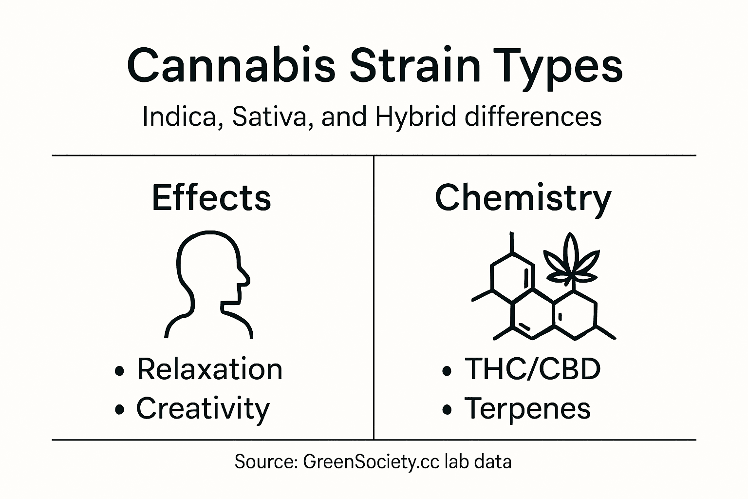 Infographic showing cannabis strain differences
