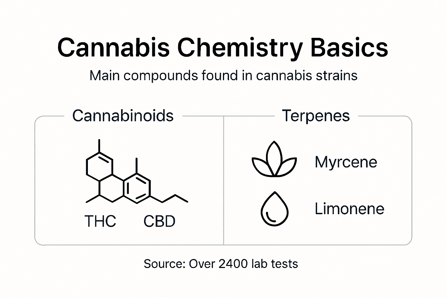 Infographic summarizing cannabis compound basics