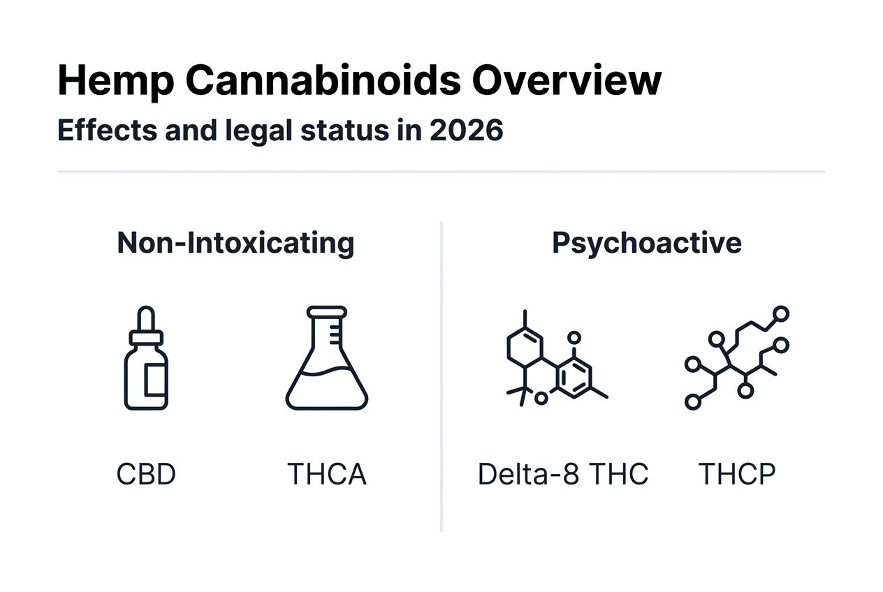 Infographic summarizing hemp cannabinoids effects and legality