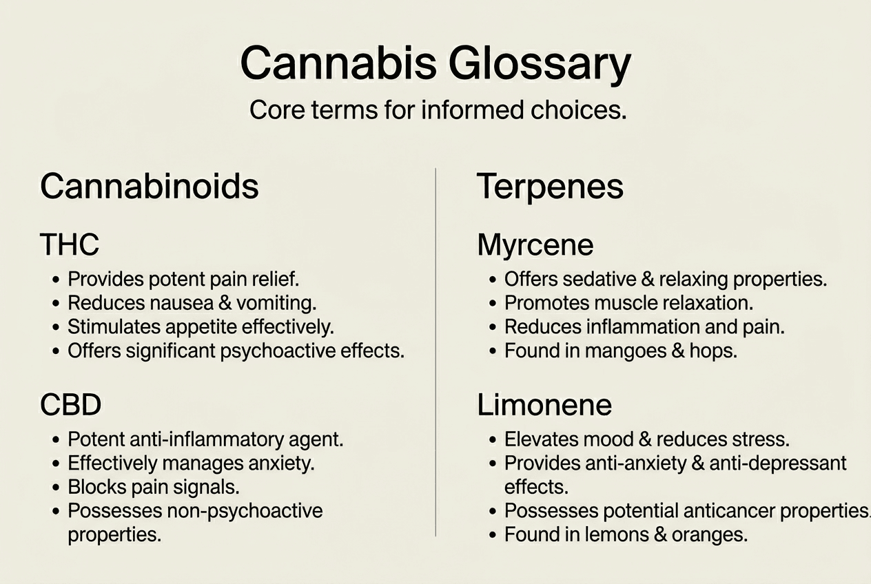Infographic about cannabis cannabinoids and terpenes