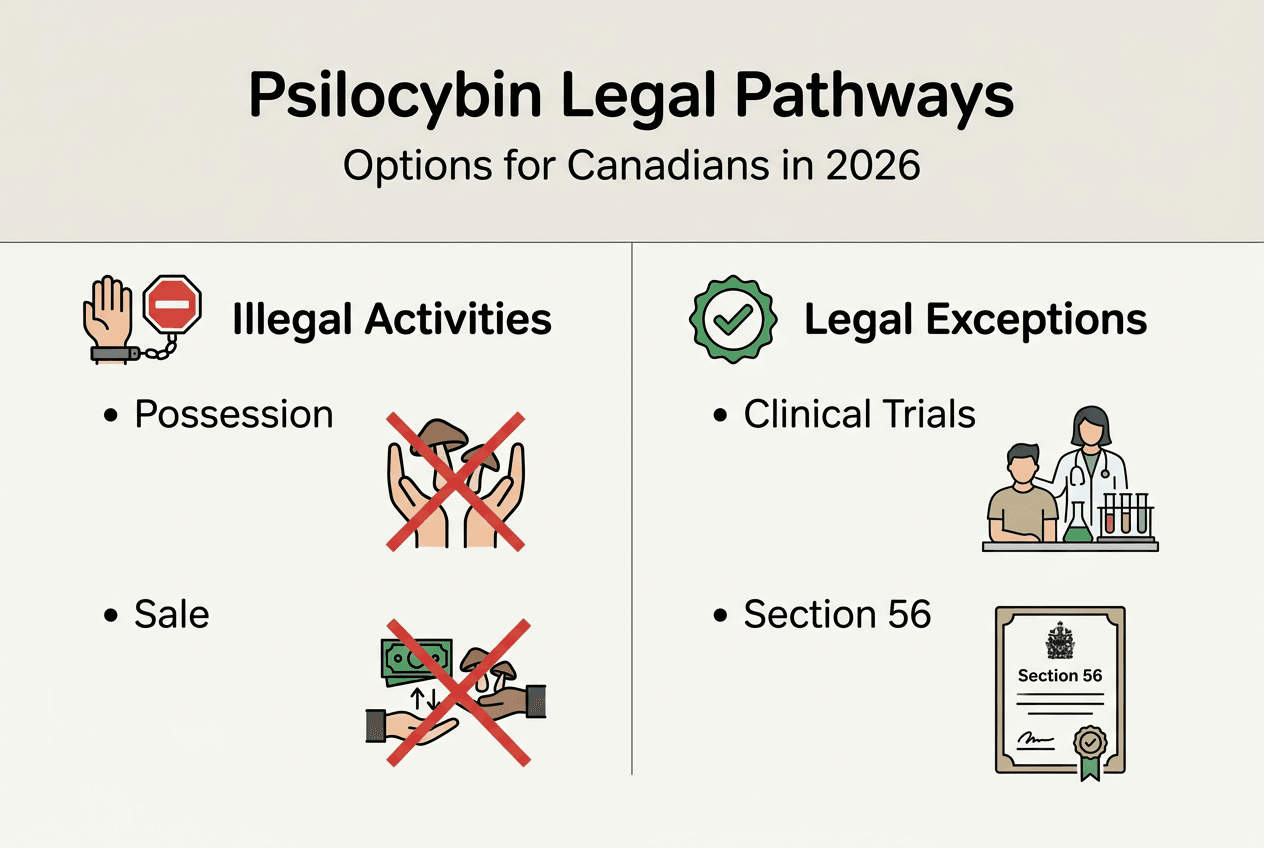 Infographic outlining psilocybin legal options Canada