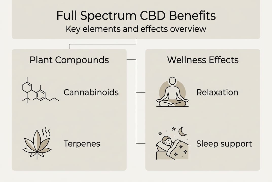 Infographic on full spectrum CBD benefits