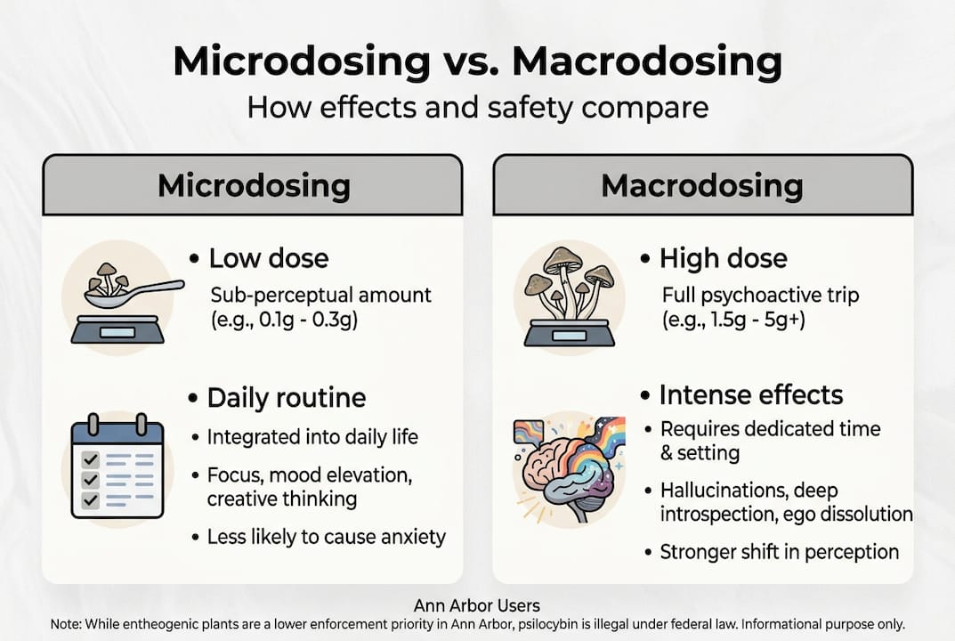 Infographic compares microdosing and macrodosing steps
