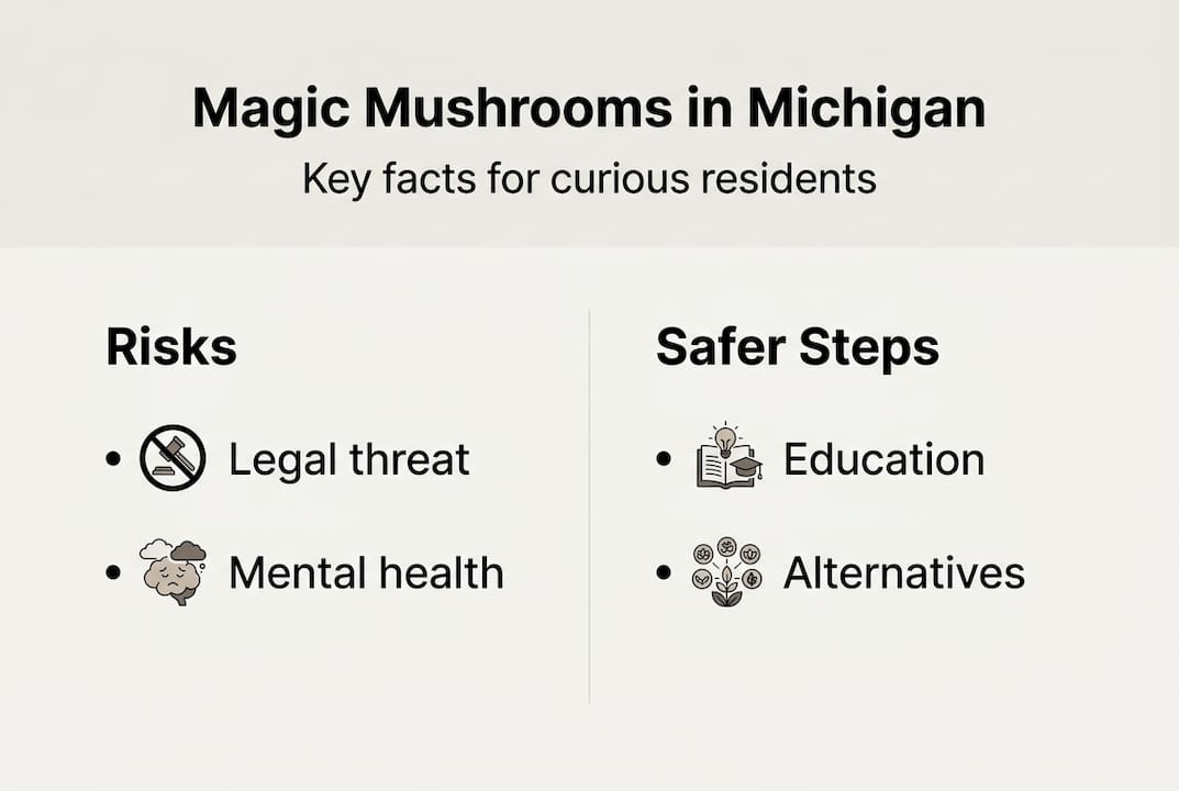 Infographic on Michigan mushrooms law and safety