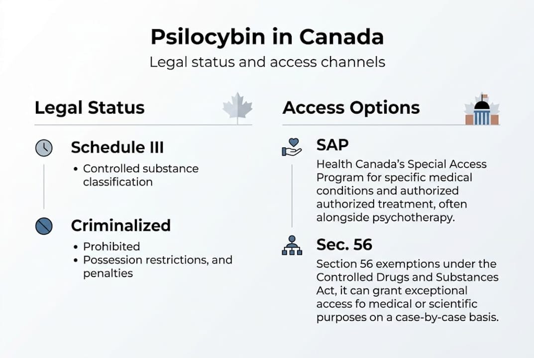 Infographic psilocybin status and access options