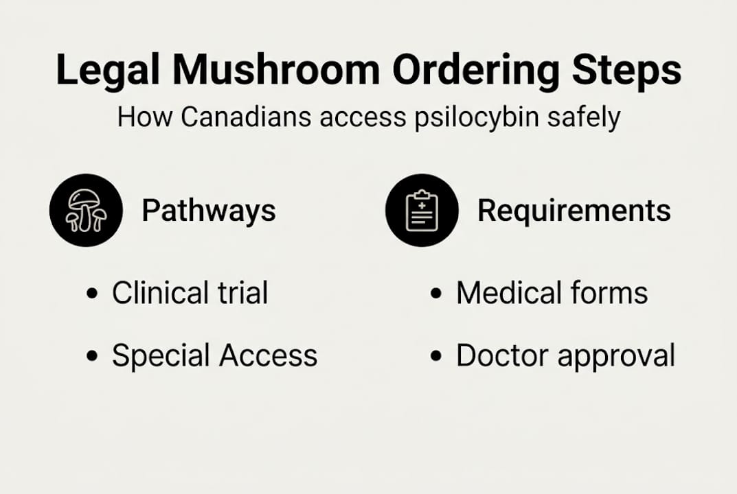 Infographic showing legal mushroom access pathways