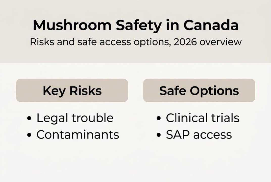 Infographic risks and access for mushrooms Canada