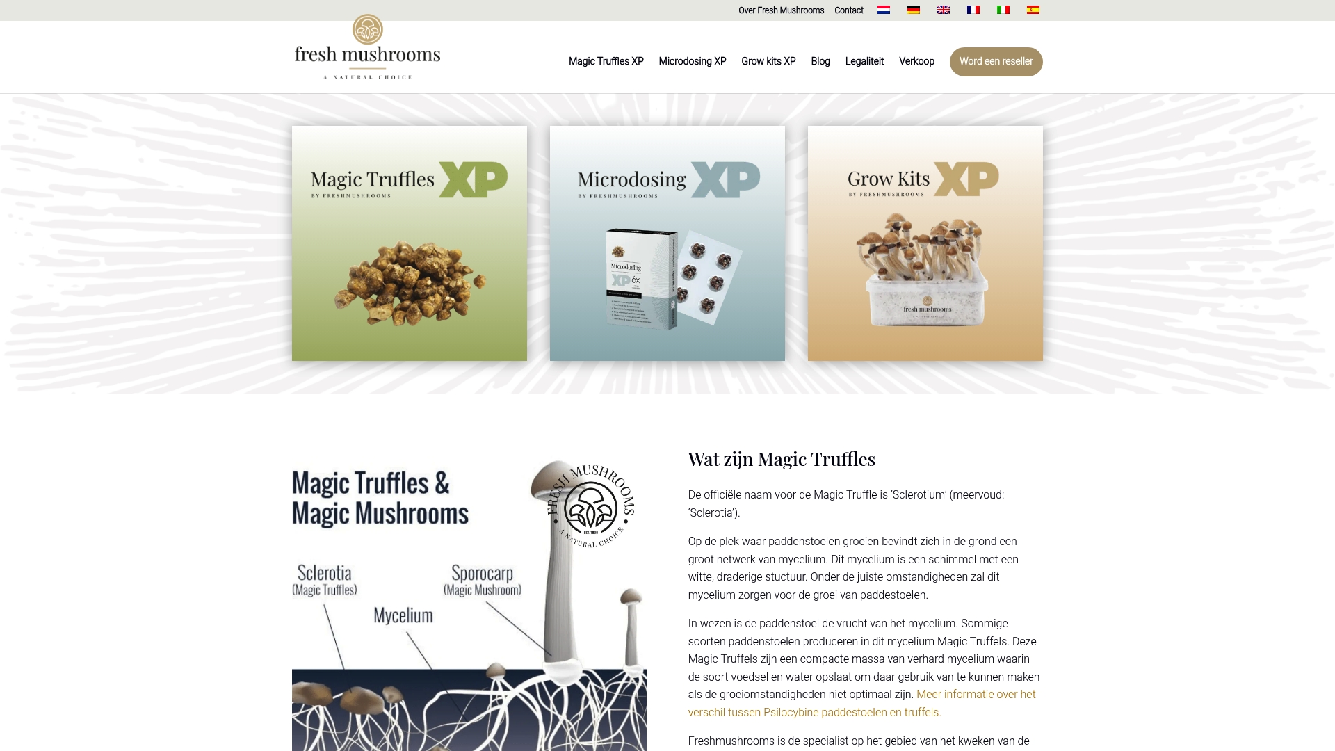 Product Screenshot