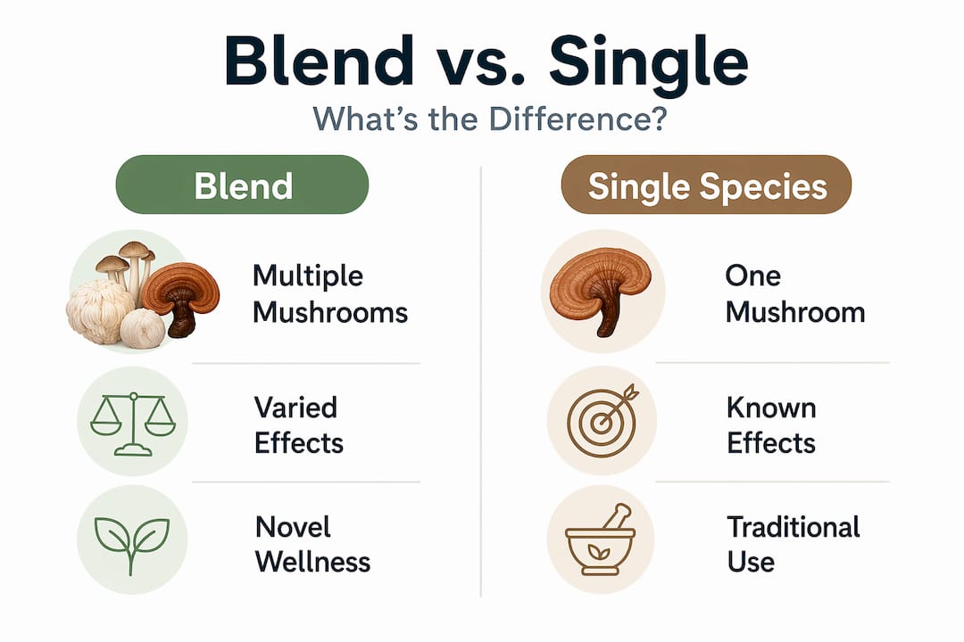 Infographic comparing mushroom blends and single species