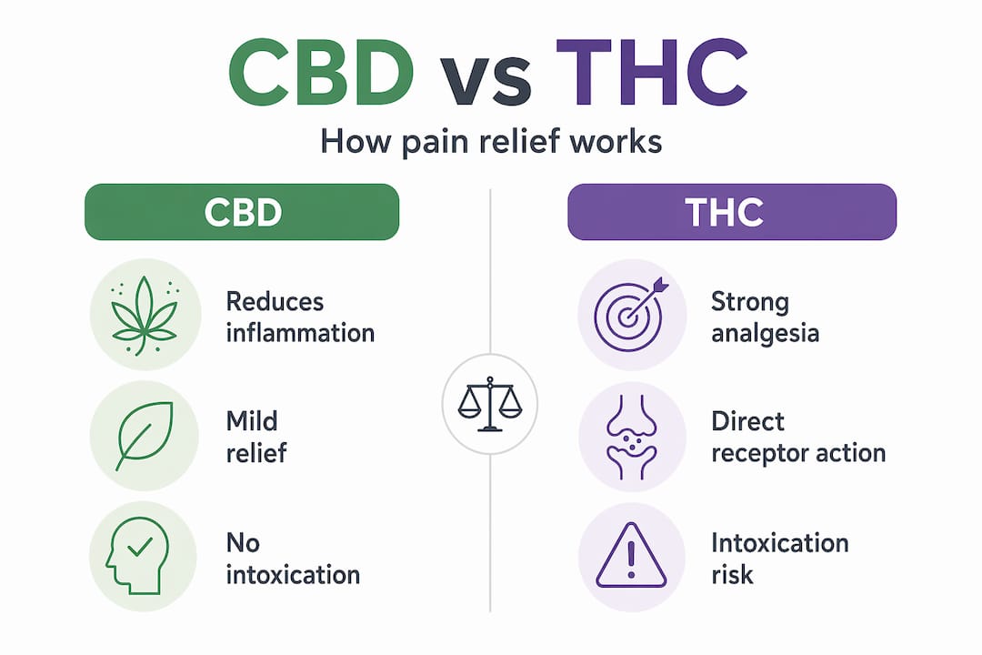 Infographic comparing CBD and THC pain relief mechanisms