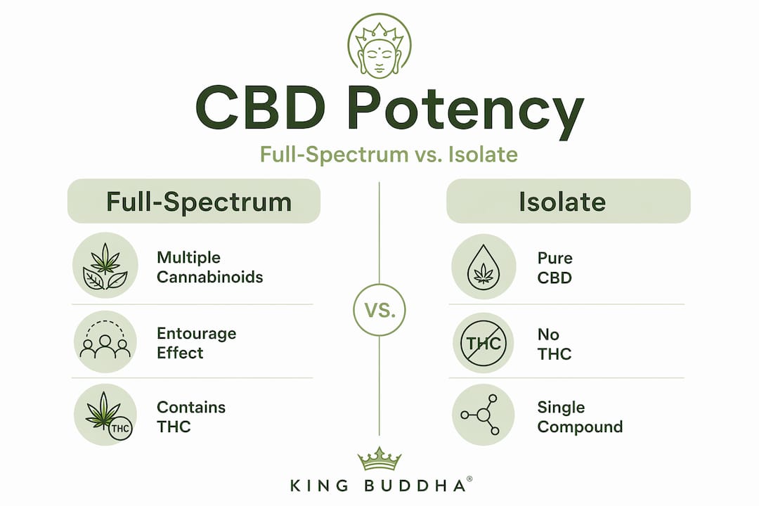 Infographic comparing full-spectrum and isolate CBD potency