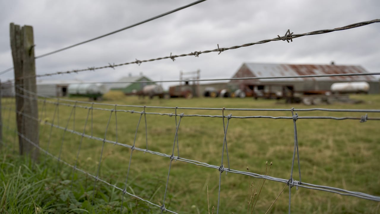 Close-up comparison of three farm wire fence types