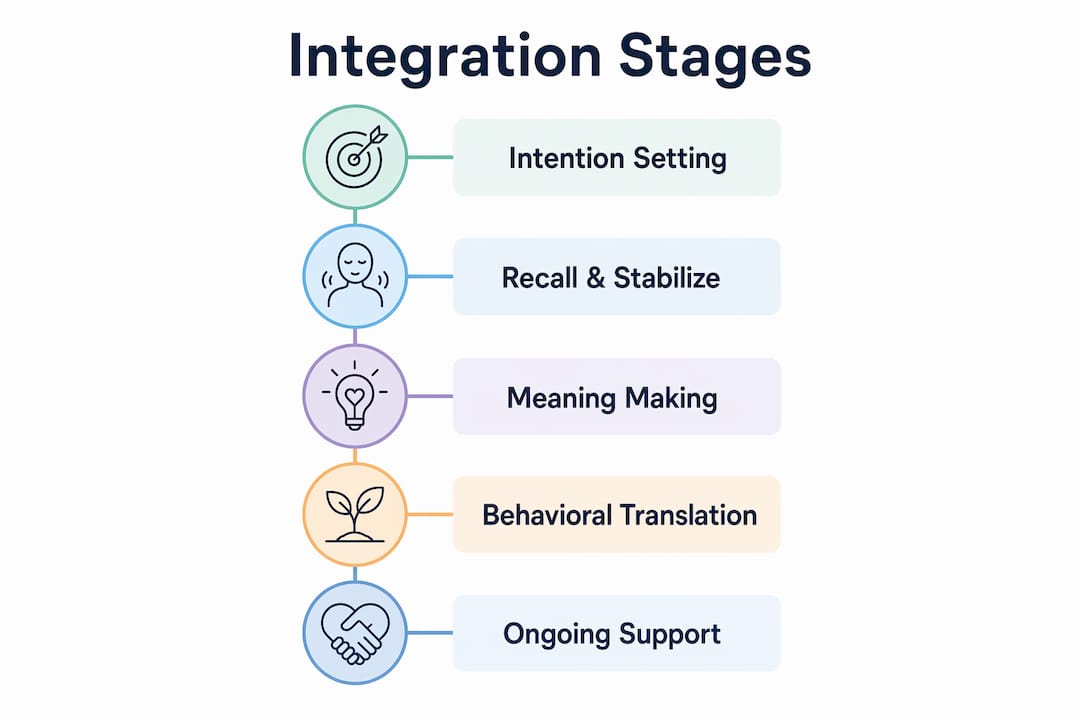 Infographic showing stages of psychedelic integration