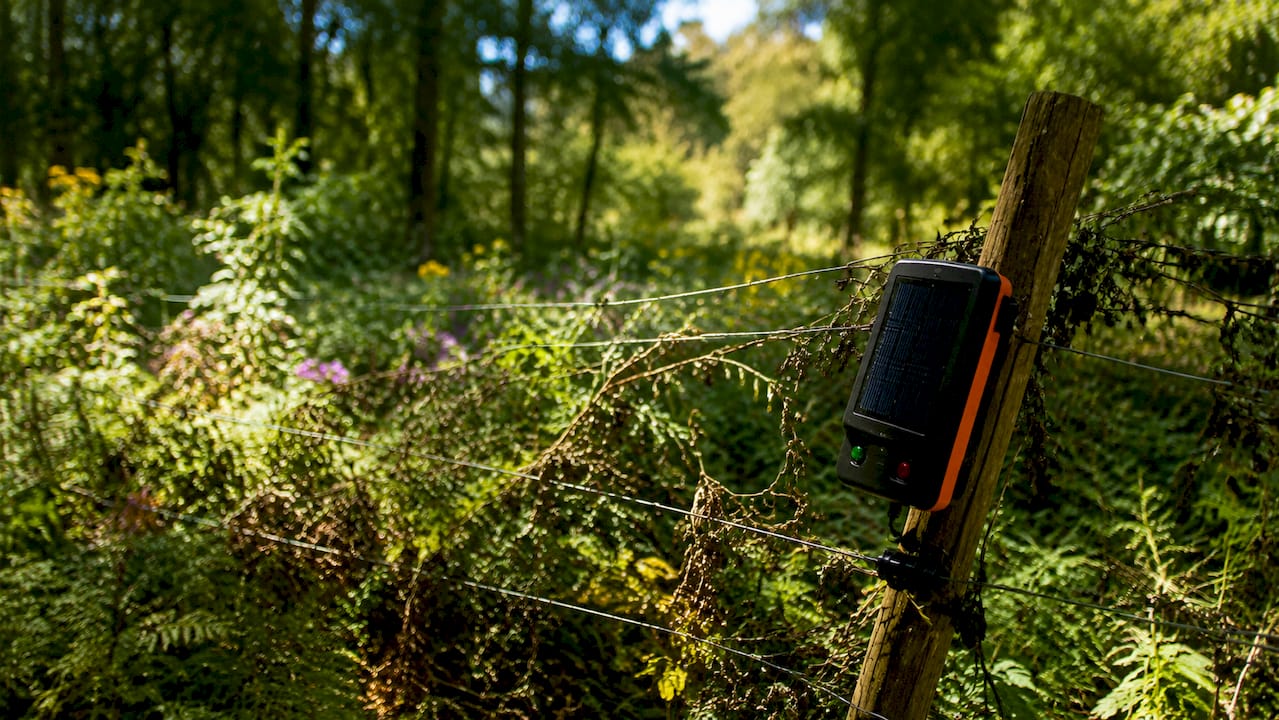 Electric forest conservation fence with vegetation grounding