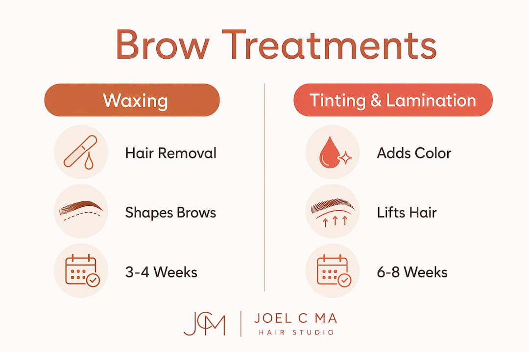 Infographic comparing brow waxing and tinting lamination