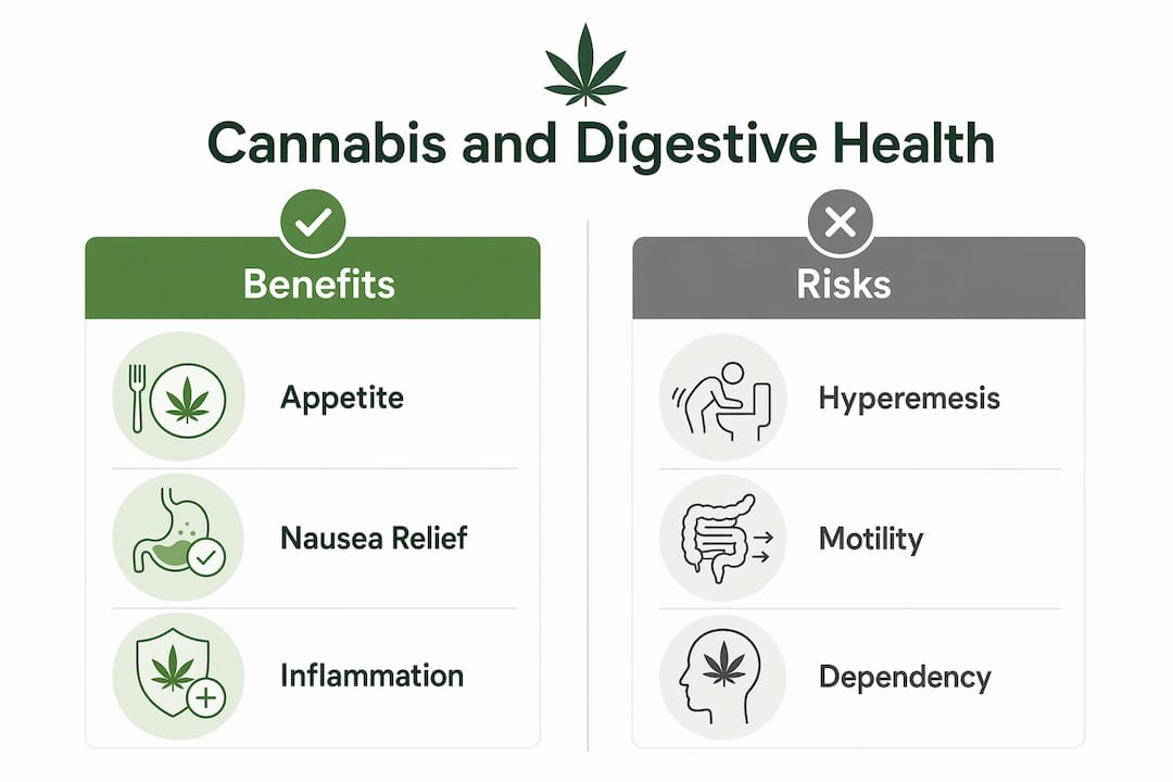 Infographic comparing benefits and risks of cannabis on digestive health